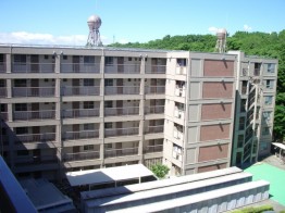 全景